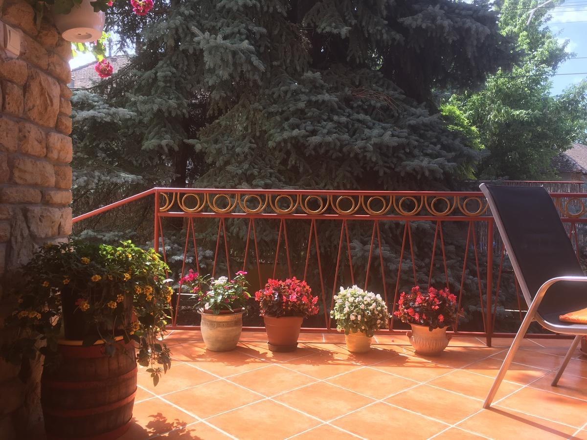 Hotel Kurca-Parti Vendeghaz Szentes Zewnętrze zdjęcie